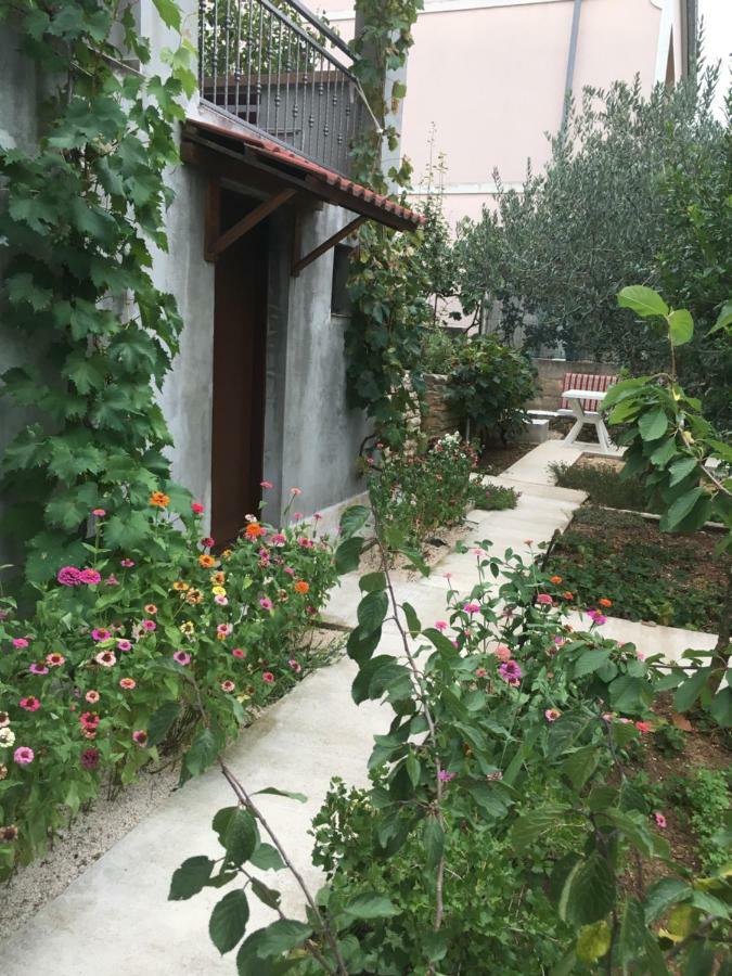 Apartmani Anka Gornji Karin Ngoại thất bức ảnh